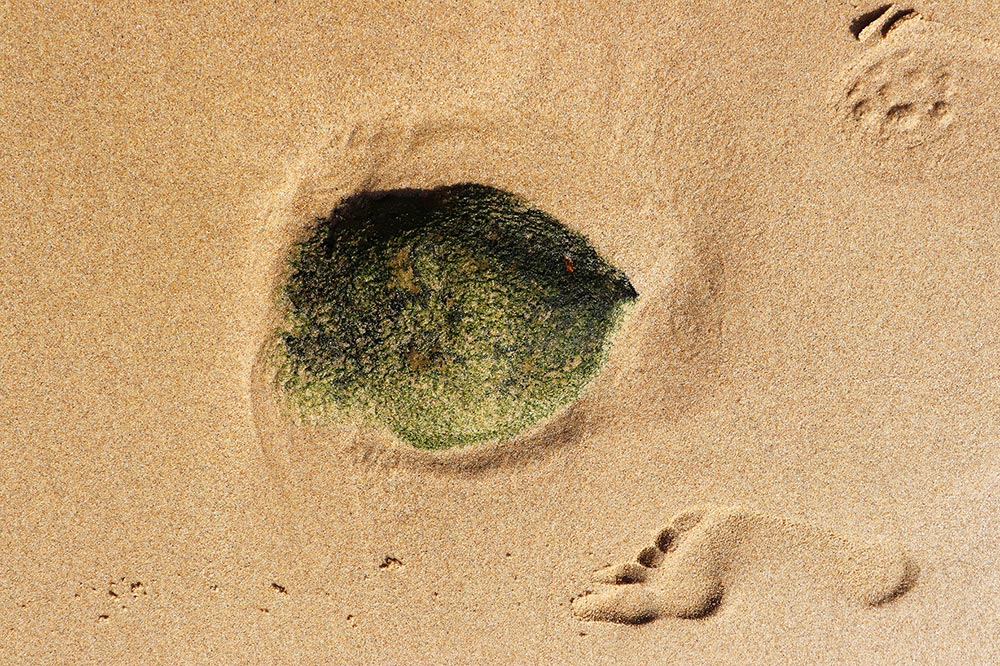 Ein Foto von sandigem Boden, in einer Kuhle haben sich Algen gebildet. Daneben ein menschlicher Fußabdruck im Sand.