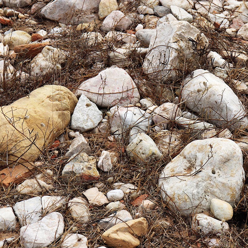 Detail eine Fotos von Steinen auf der Erde.